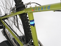 Picture of Softride Lizard MTB Bike