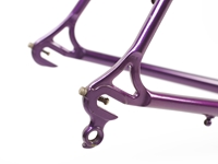 Picture of Rossin Trilly Frameset - 56cm