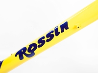 Picture of Rossin Performance Frameset - 57cm