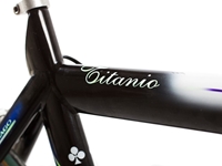 Picture of Colnago Titanio TT Bike