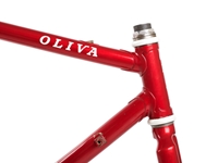Picture of Oliva LoPro Frameset - 57cm