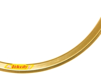 Picture of Velocity Deep V - 700c - Gold MSW