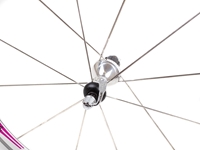 Picture of Campagnolo Shamal 12HPW Wheel Set - Silver