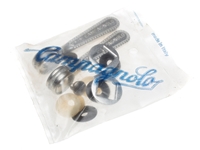 Picture of Campagnolo Record Shifters
