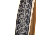 Picture of Panaracer DH Magic Front tyre - beige 