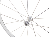 Picture of Campagnolo Shamal Front Wheel - Silver