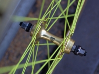 Picture of Velocity Deep V Wheelset - Gold