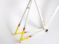 Picture of Raleigh R700 Frameset  -54cm