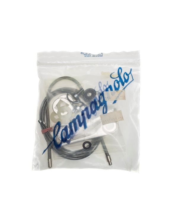 Campagnolo Victory Shifters